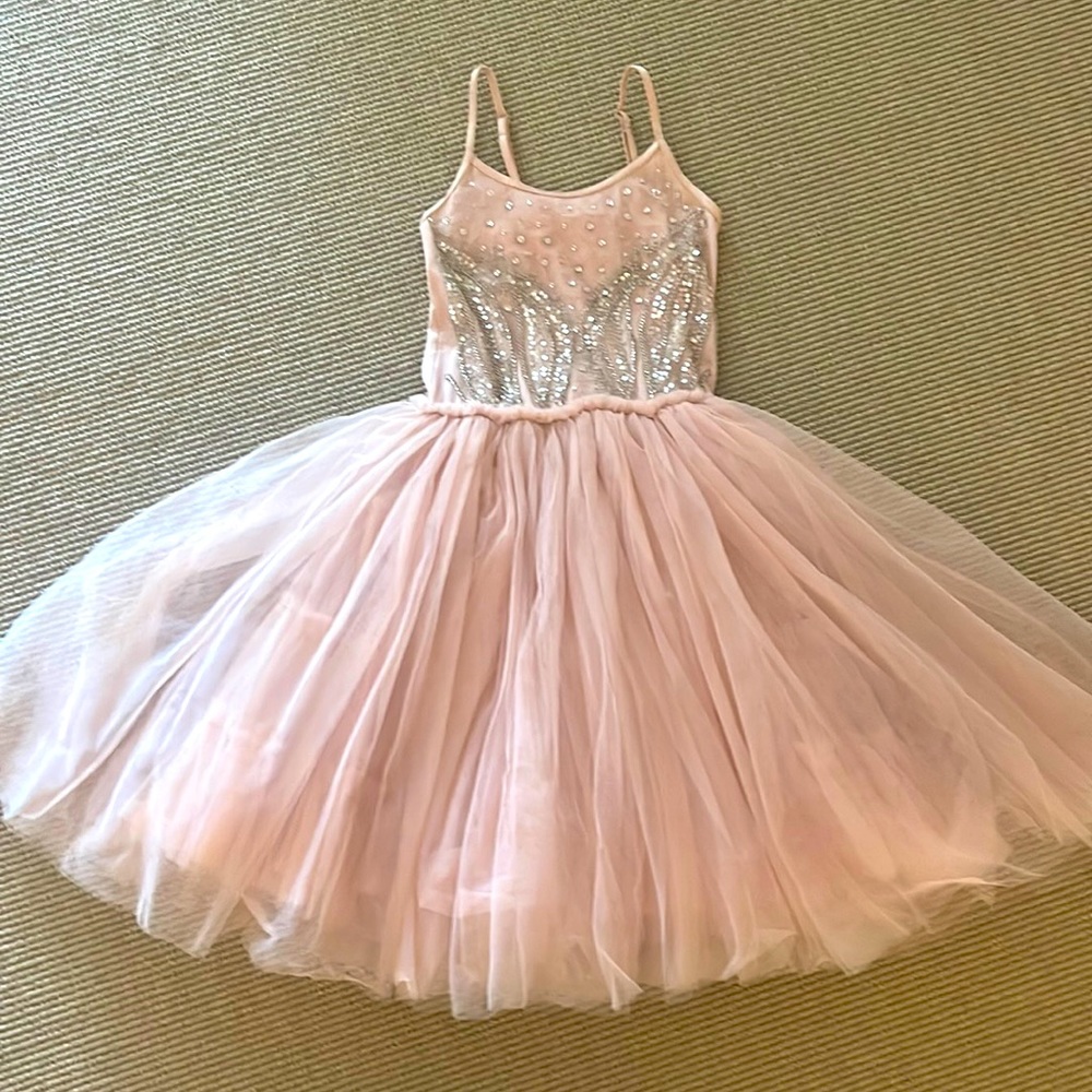 Tutu Du Monde Pink Tulle Party Dress with Silver Sequin Bodice